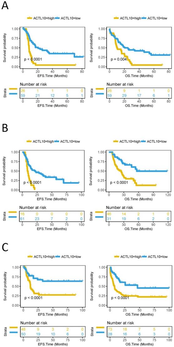 J Cancer Image