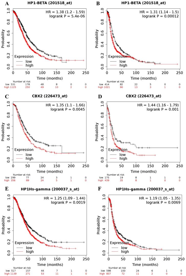 J Cancer Image