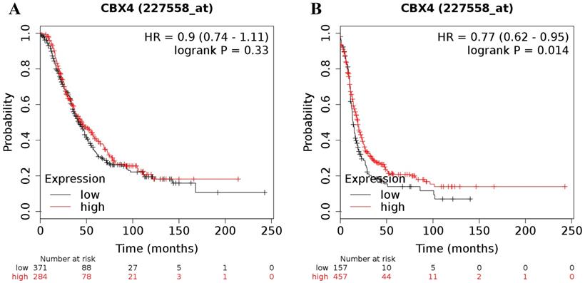 J Cancer Image