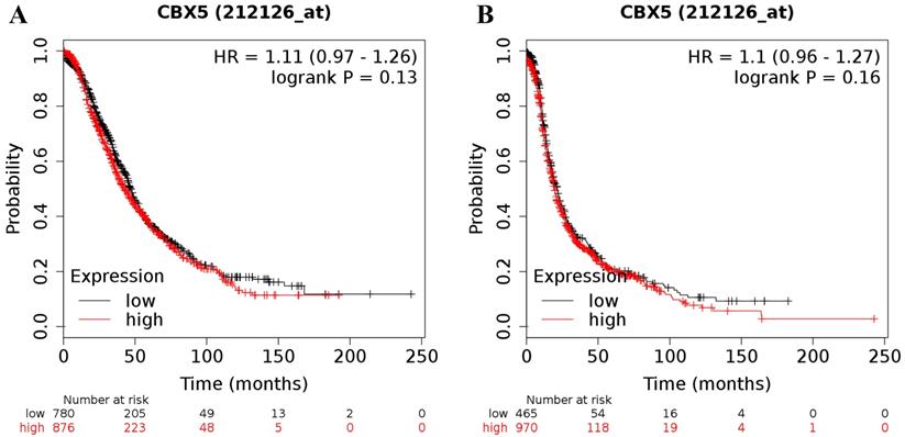 J Cancer Image