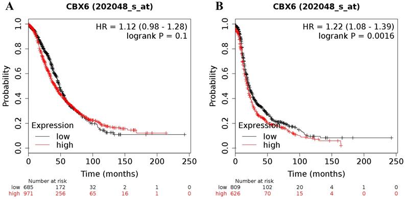 J Cancer Image