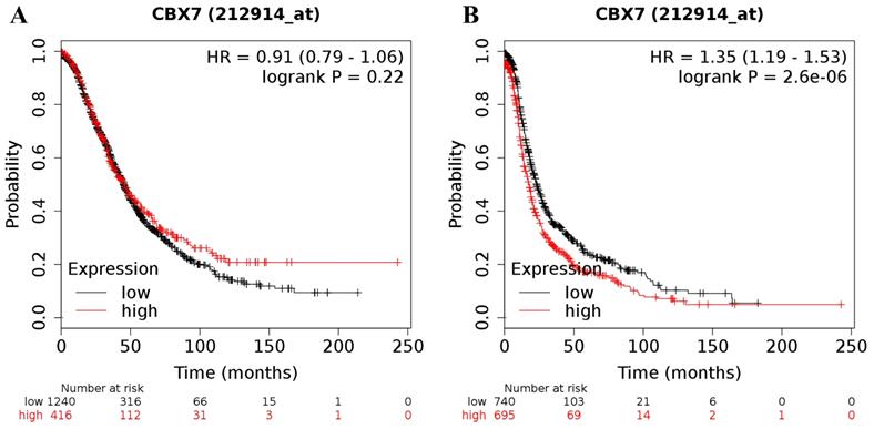 J Cancer Image