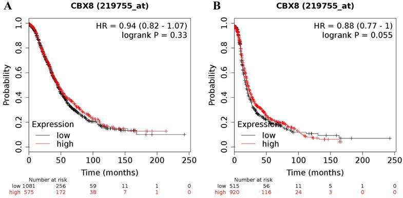 J Cancer Image