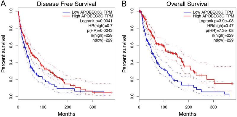 J Cancer Image