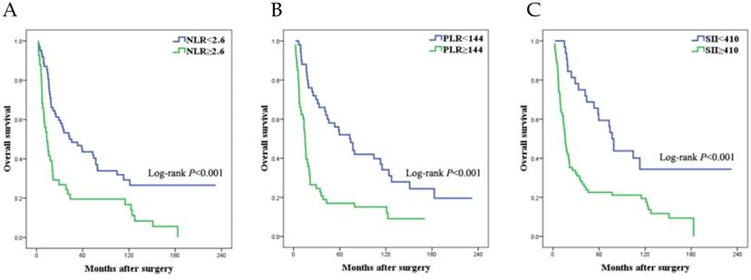 J Cancer Image