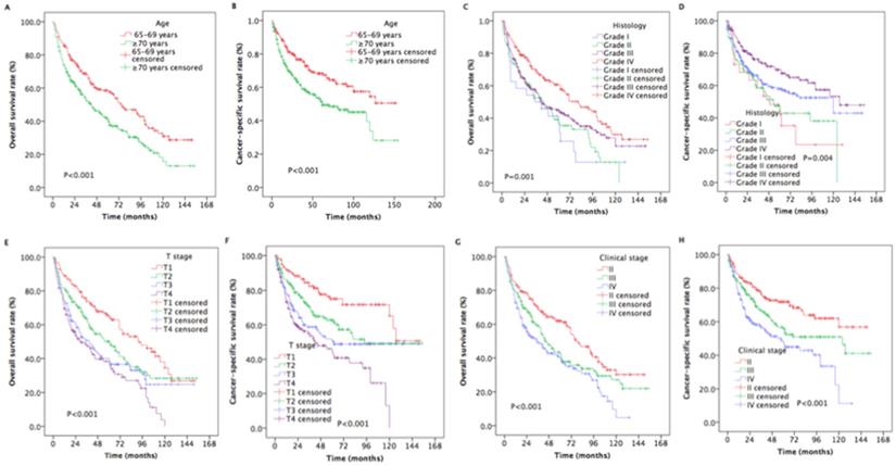 J Cancer Image