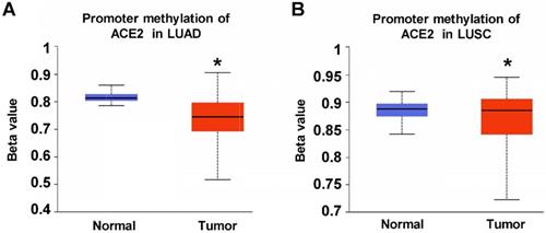 J Cancer Image