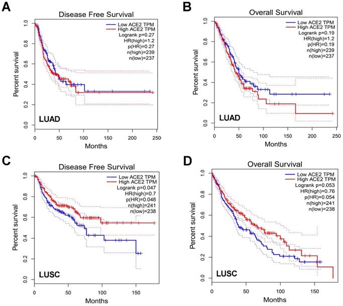 J Cancer Image