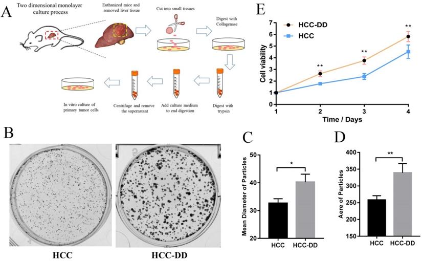 J Cancer Image