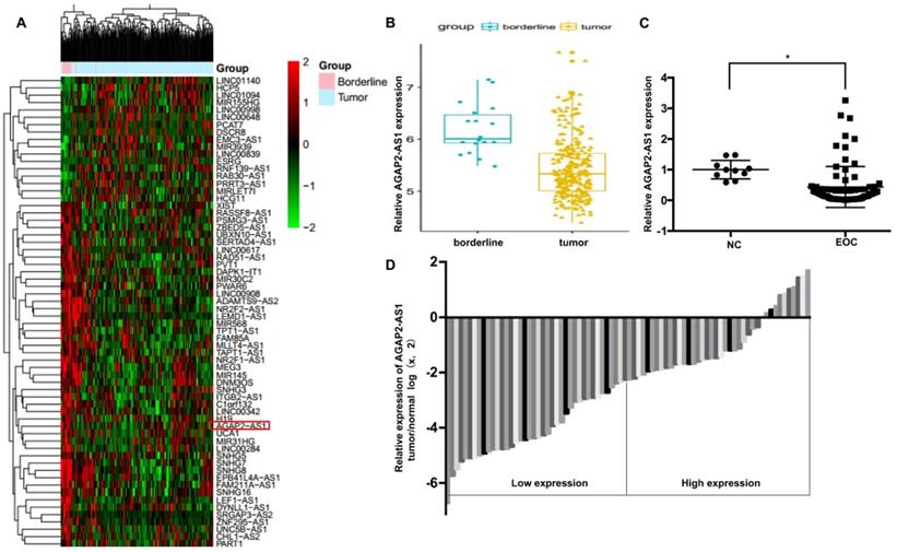 J Cancer Image