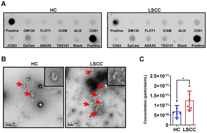 J Cancer Image