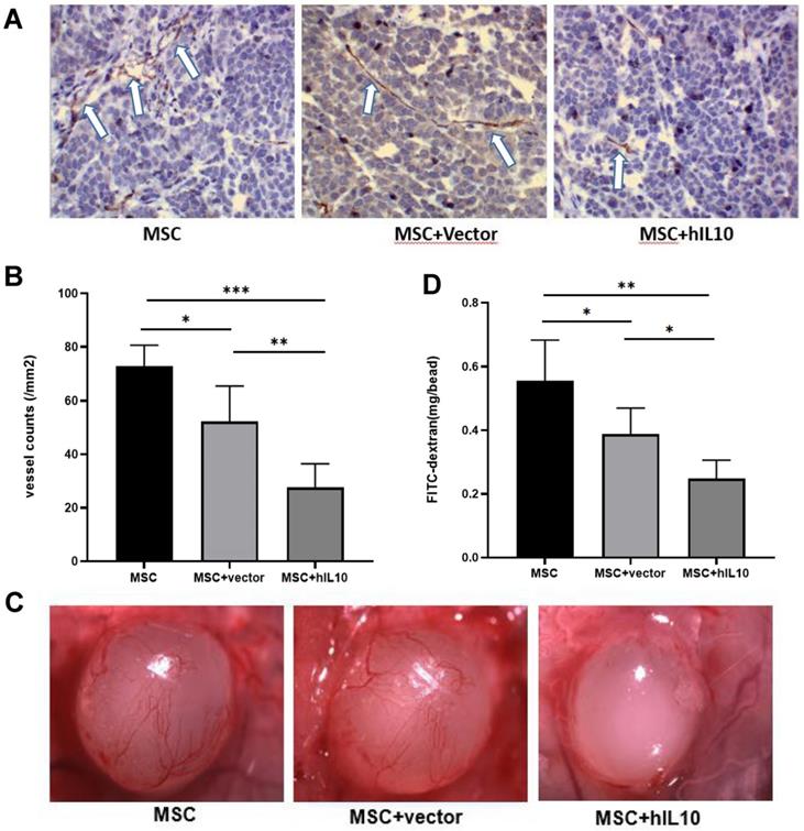 J Cancer Image