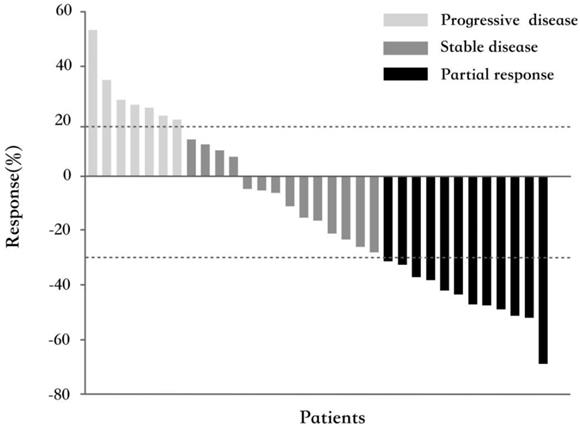 J Cancer Image