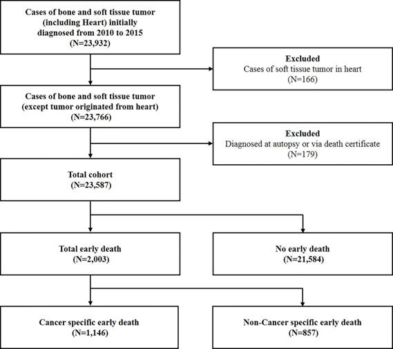 J Cancer Image