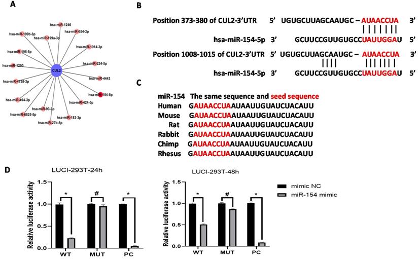 J Cancer Image