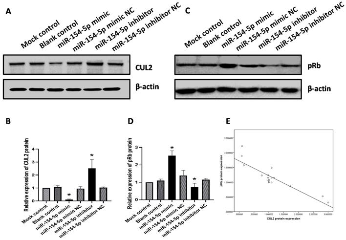 J Cancer Image