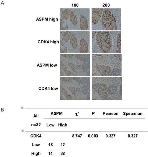 J Cancer Image