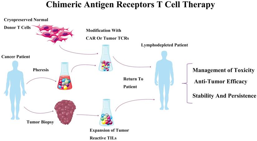 J Cancer Image