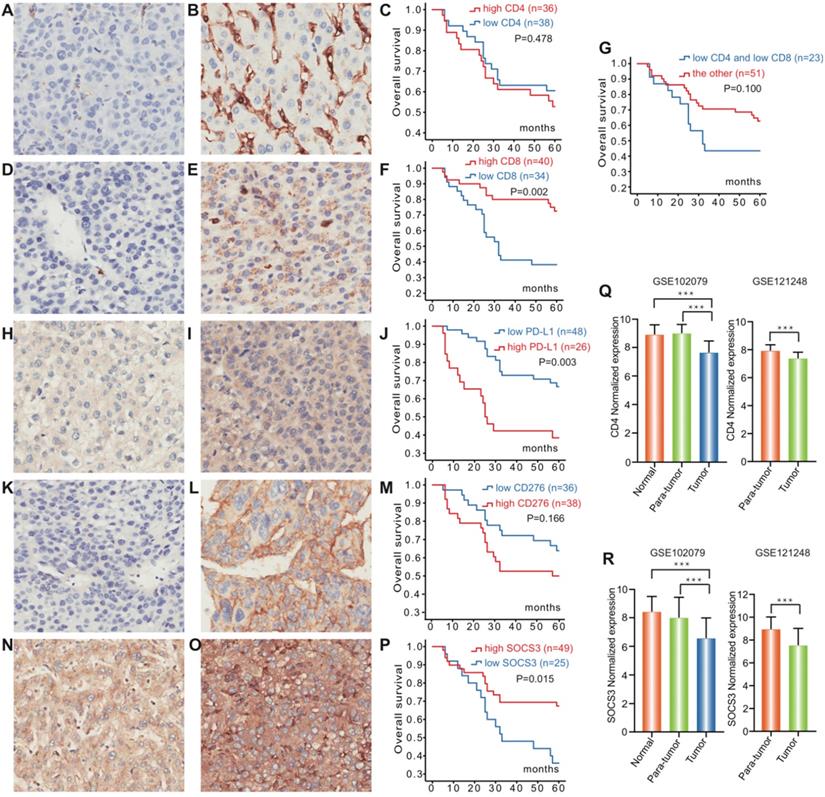 J Cancer Image