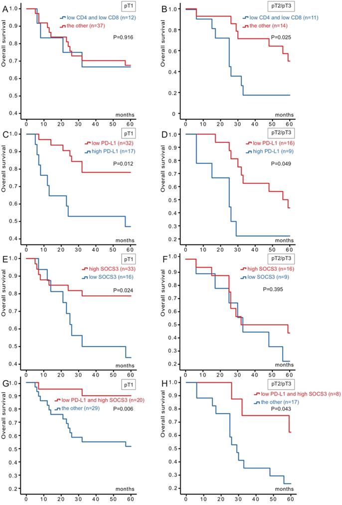 J Cancer Image