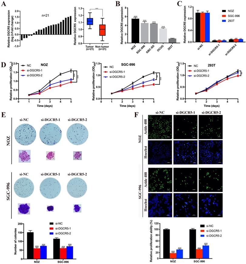 J Cancer Image