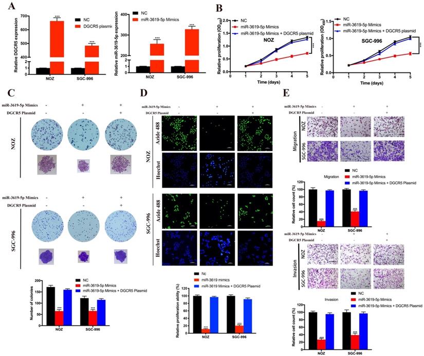 J Cancer Image