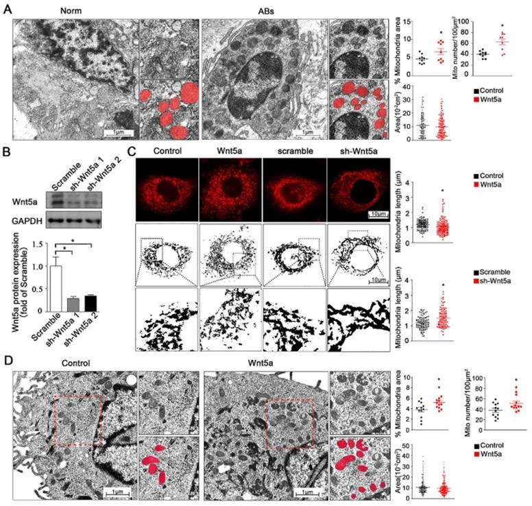 J Cancer Image