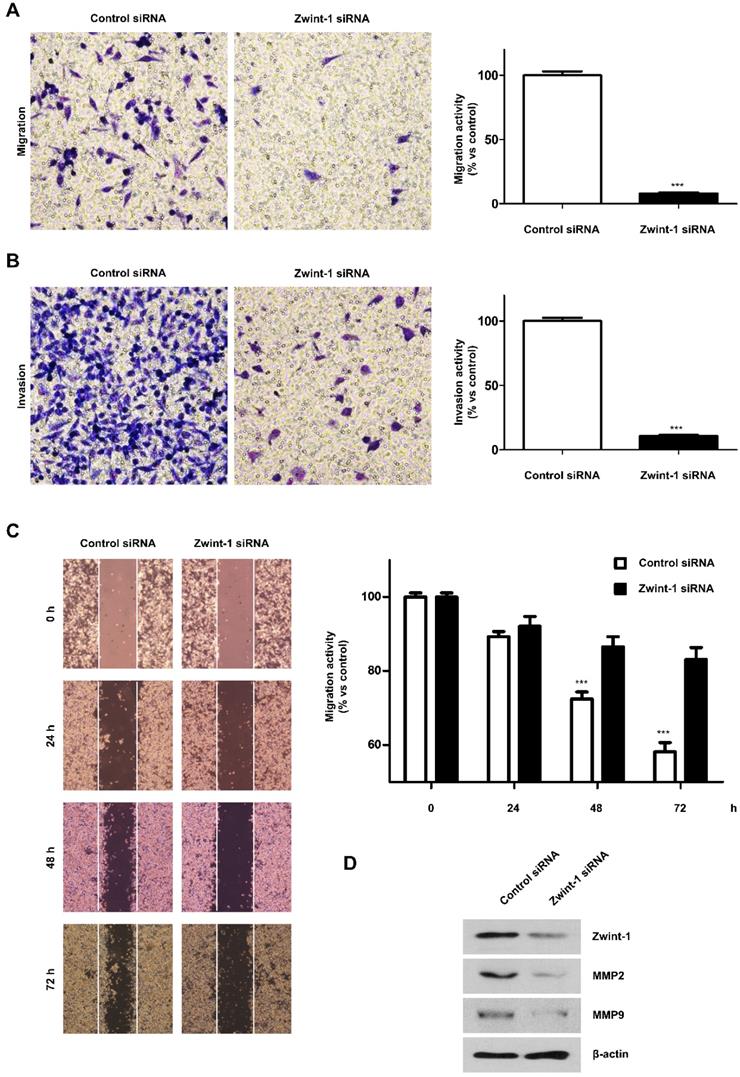 J Cancer Image