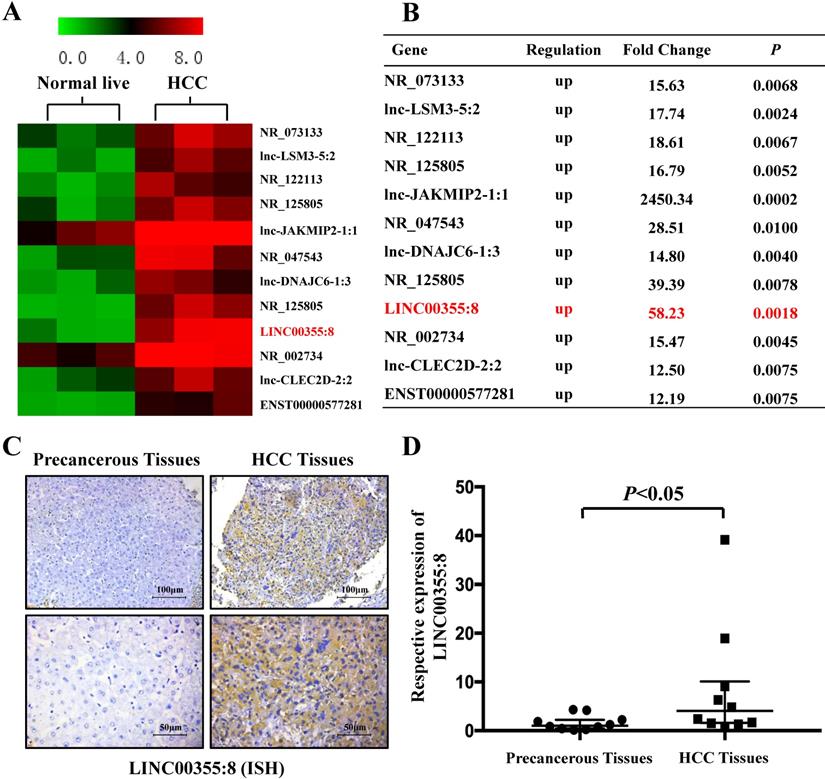 J Cancer Image