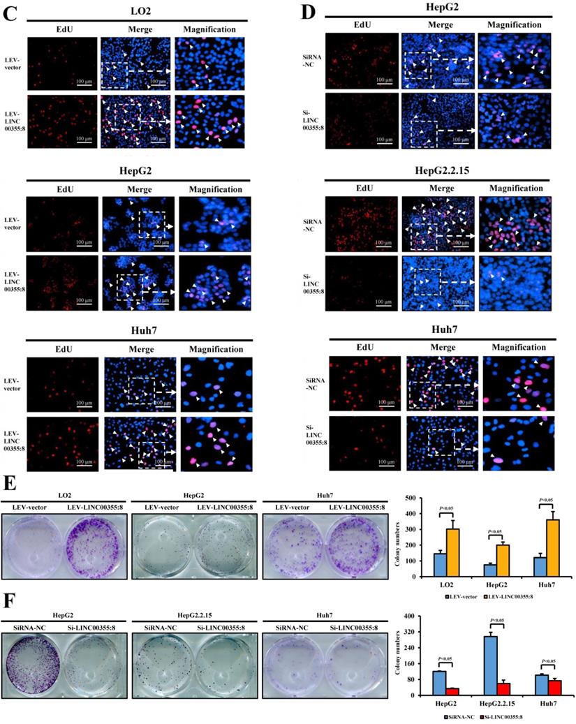 J Cancer Image