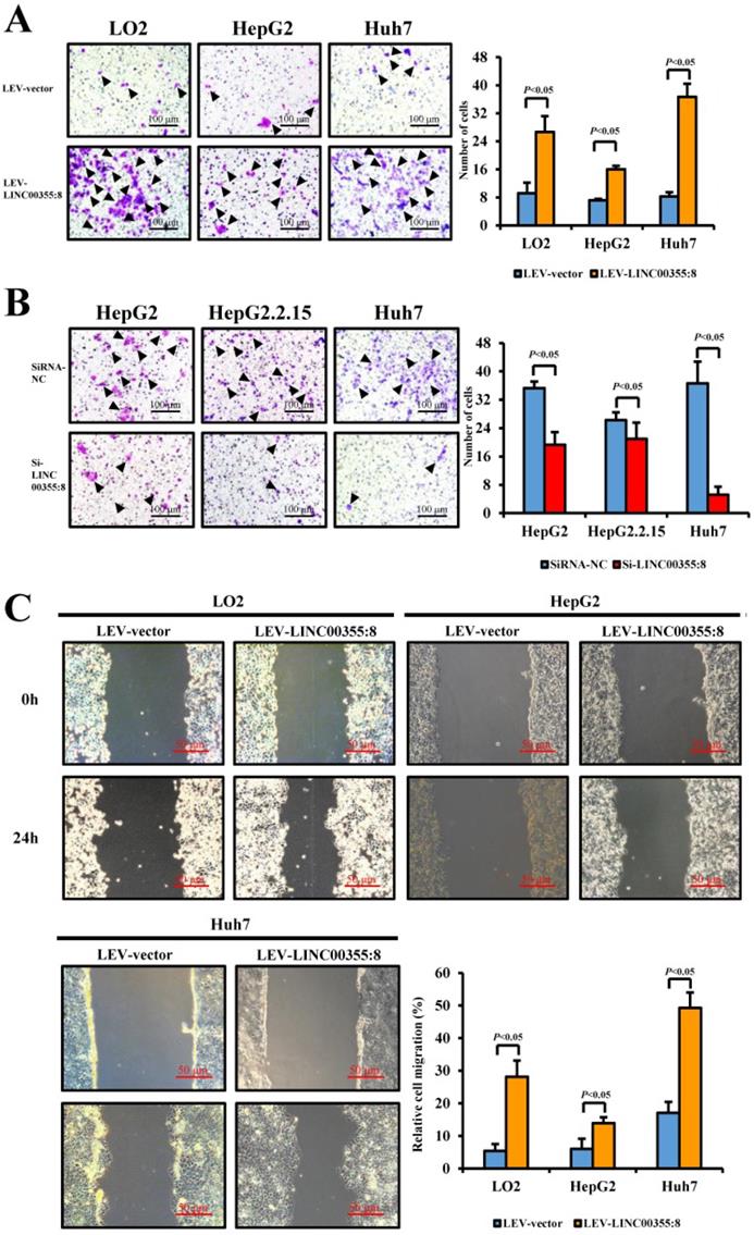 J Cancer Image