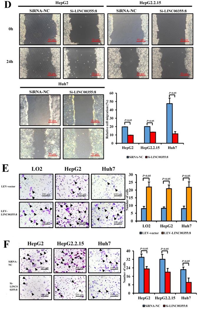 J Cancer Image