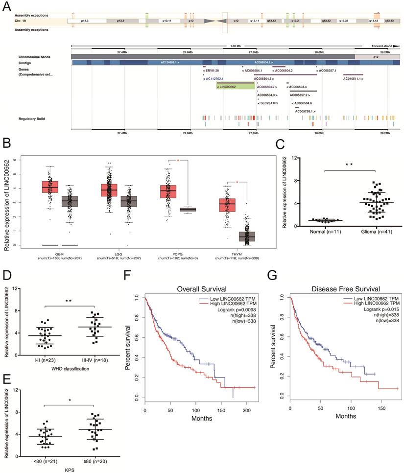 J Cancer Image