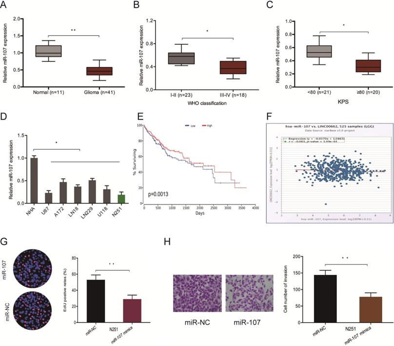 J Cancer Image