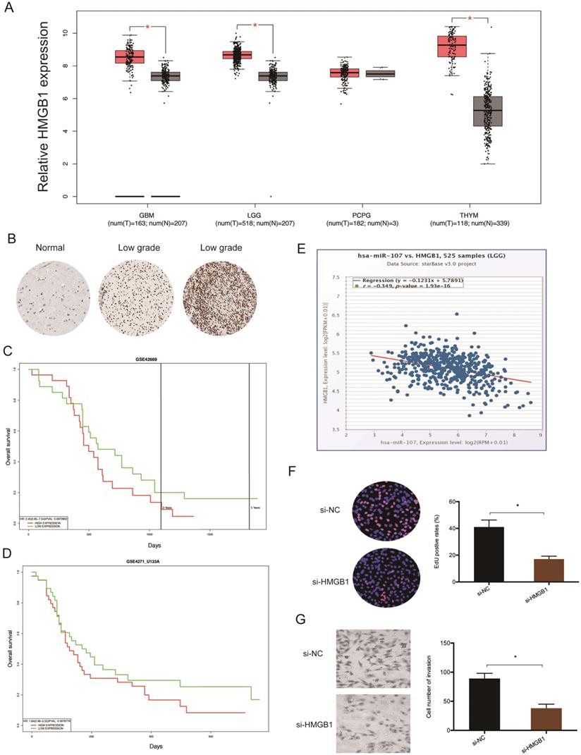 J Cancer Image