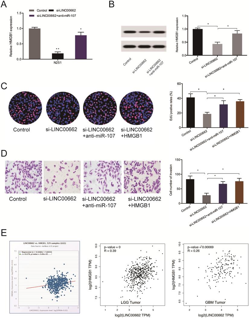 J Cancer Image