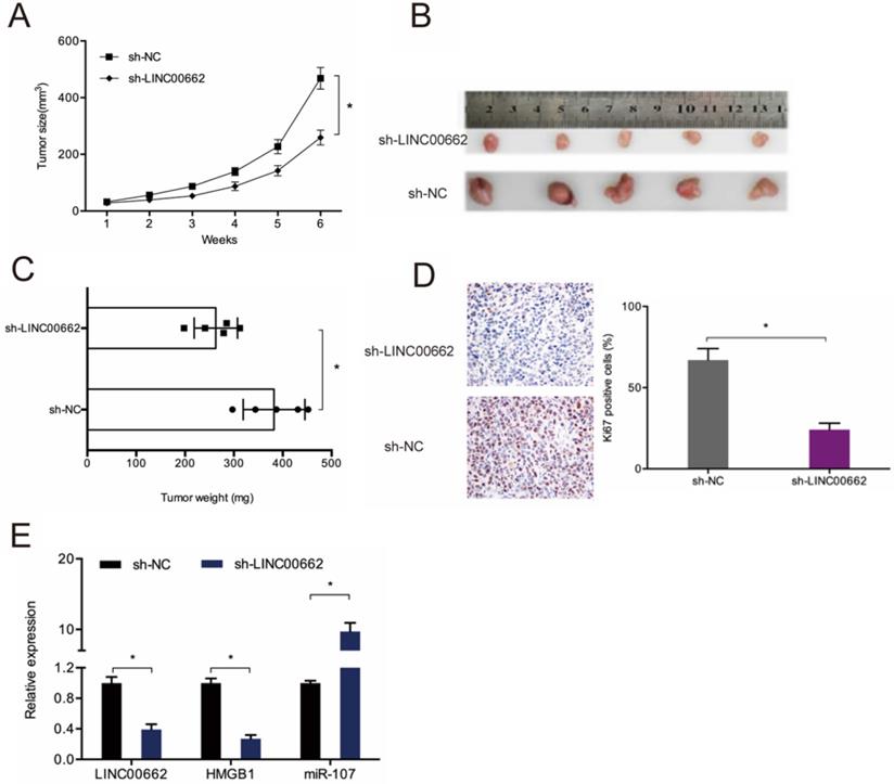 J Cancer Image