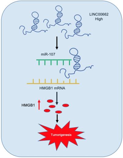 J Cancer Image