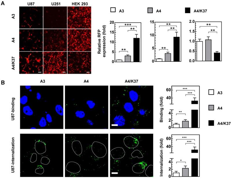 J Cancer Image