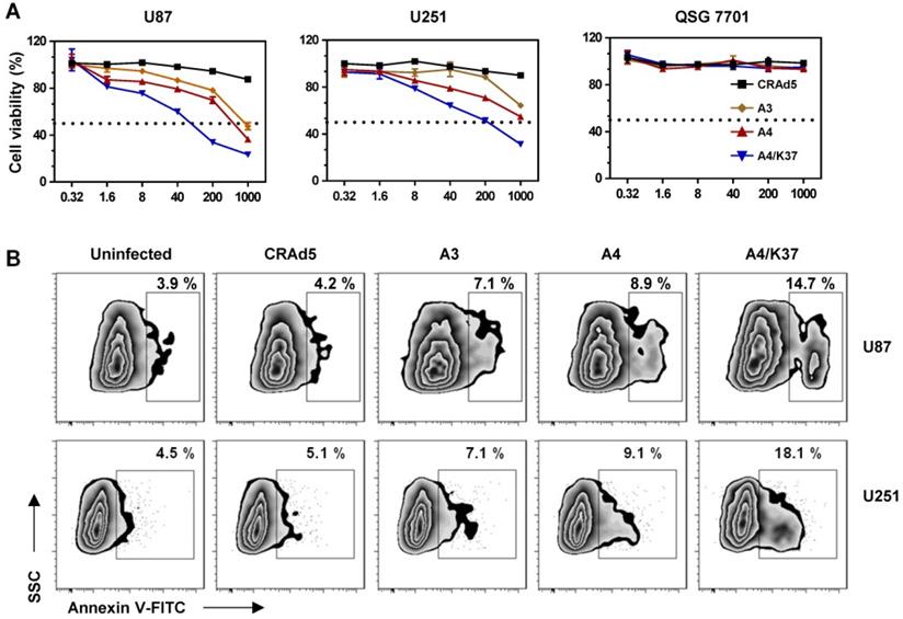 J Cancer Image