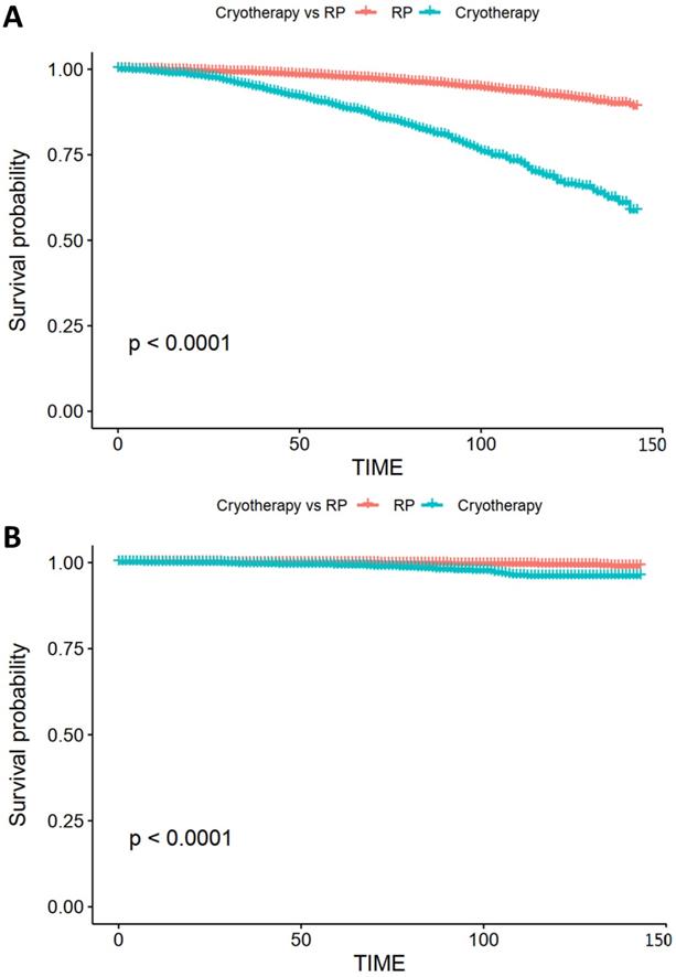 J Cancer Image