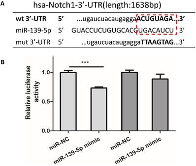 J Cancer Image