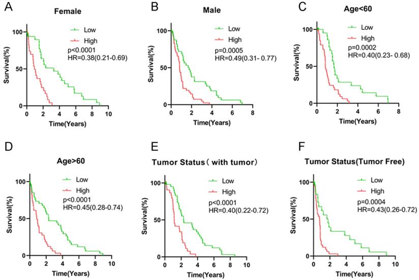 J Cancer Image