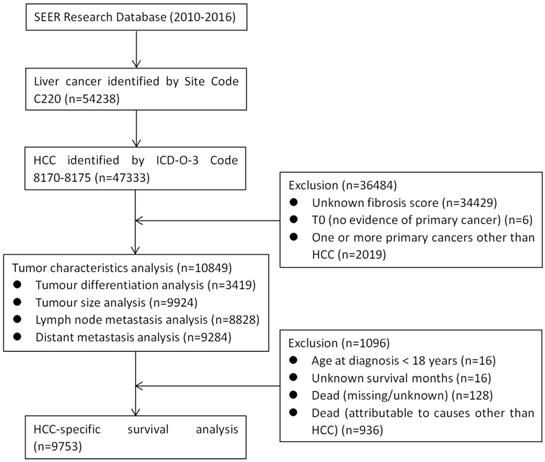 J Cancer Image