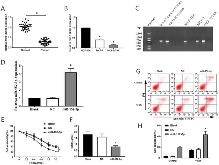 J Cancer Image