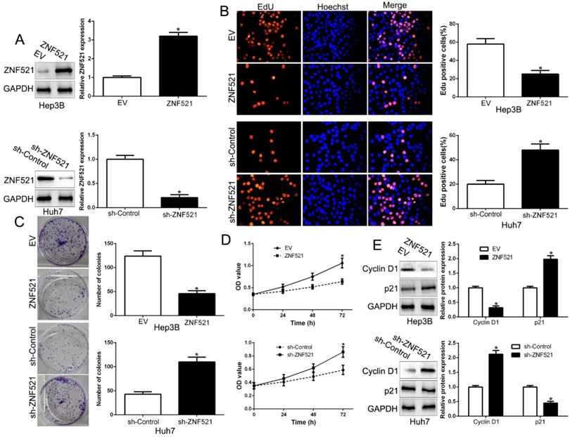 J Cancer Image