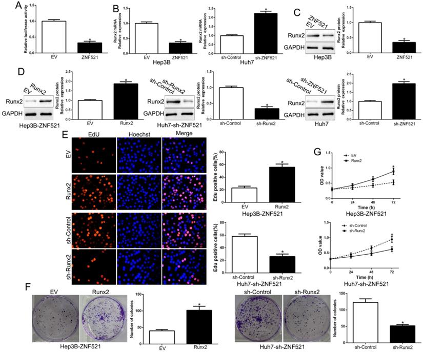 J Cancer Image