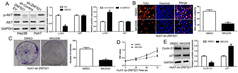 J Cancer Image