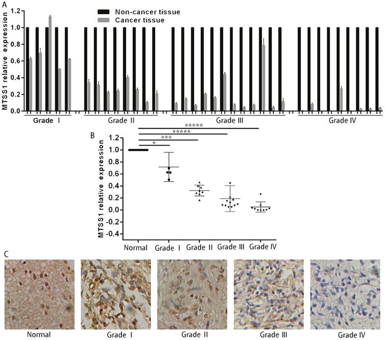 J Cancer Image