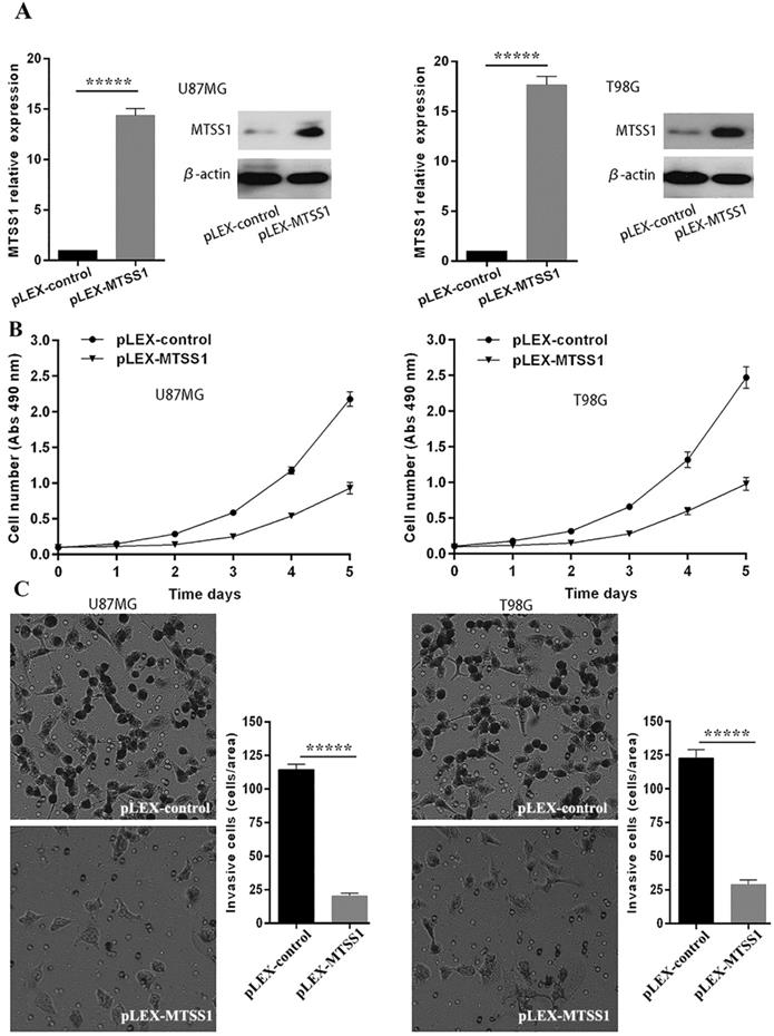 J Cancer Image